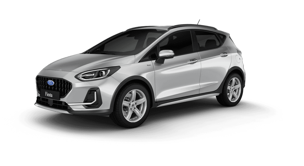 Ford Fiesta in silber