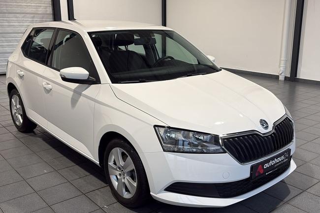 Skoda Fabia 1.0 MPI Active (EURO 6d) Gebrauchtwagen