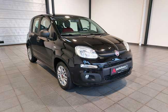 Fiat Panda 1.2 8V Easy Gebrauchtwagen