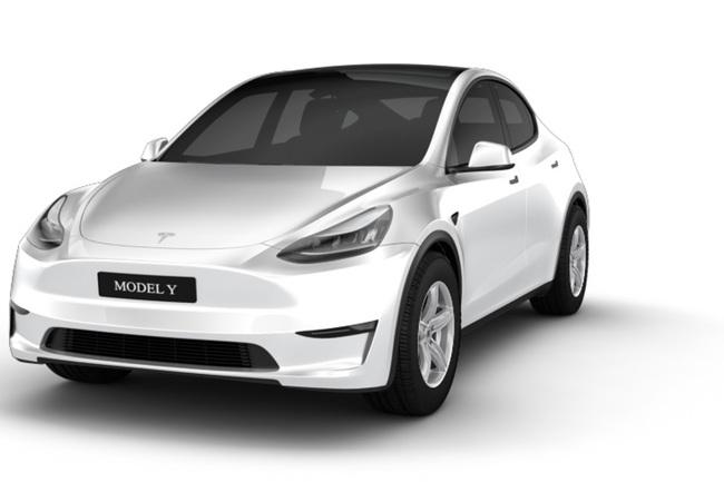 Tesla Model Y Performance Gebrauchtwagen